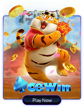 ACEWIN